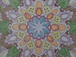 whatsapp image 2026-01-19 at 12.35.08